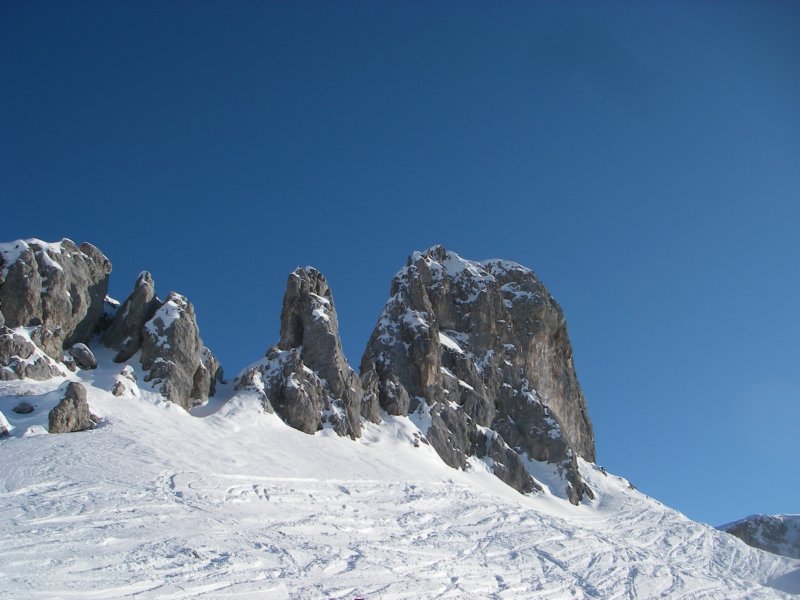 derhasenfleli.jpg