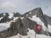 grogrnhorn_small.jpg