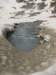 imgp2678_small.jpg