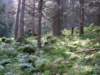 imgp3113_small.jpg