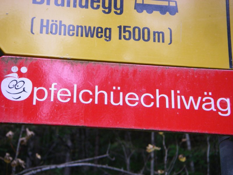 wirsindmalwiederhiersieheauchjungfraubilder.jpg