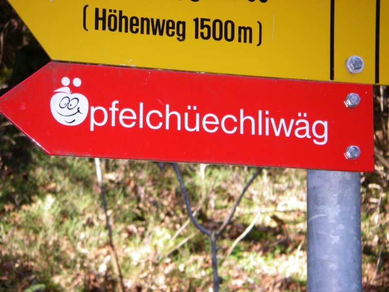 aufdemsindwirleidernichtgelaufenwirsindnachlinks.jpg