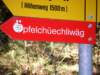 aufdemsindwirleidernichtgelaufenwirsindnachlinks_small.jpg