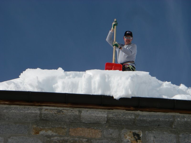 daraufhinmachtsichhogigleichansschaufeln.jpg