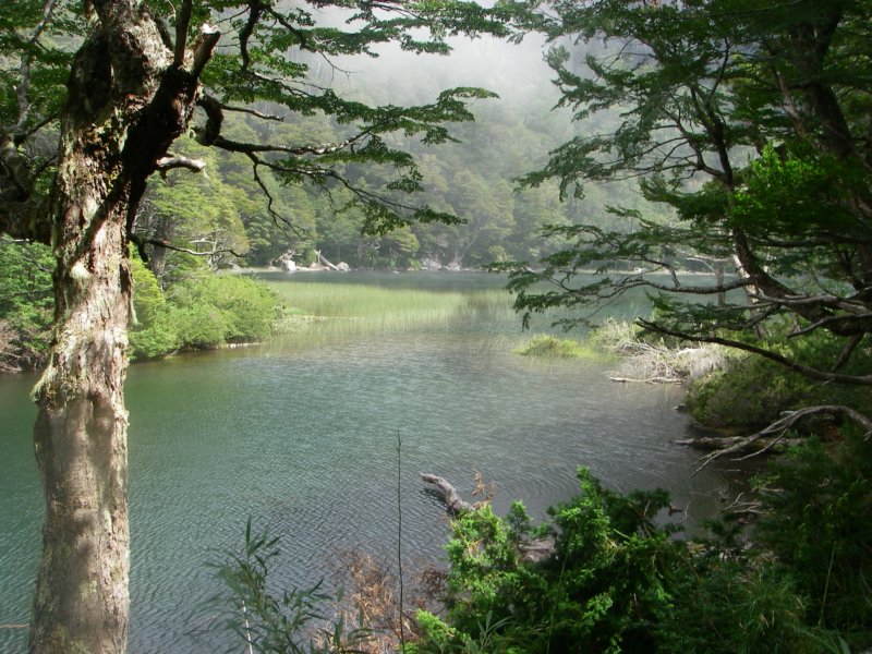 imgp3354.jpg