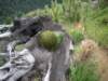 imgp3406_small.jpg