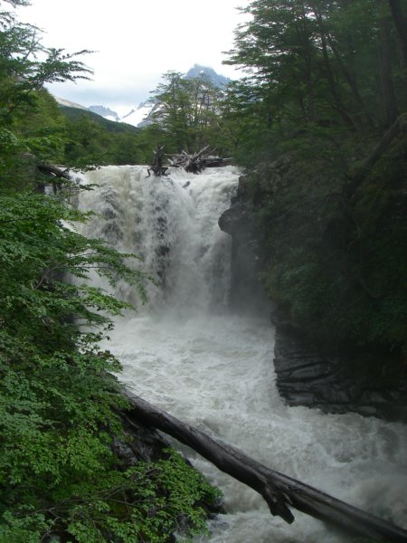 imgp3917.jpg
