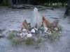 imgp4391_small.jpg