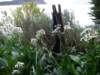 imgp4647_small.jpg