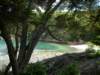 imgp4662_small.jpg