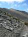 imgp4705_small.jpg