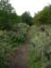 imgp4737_small.jpg