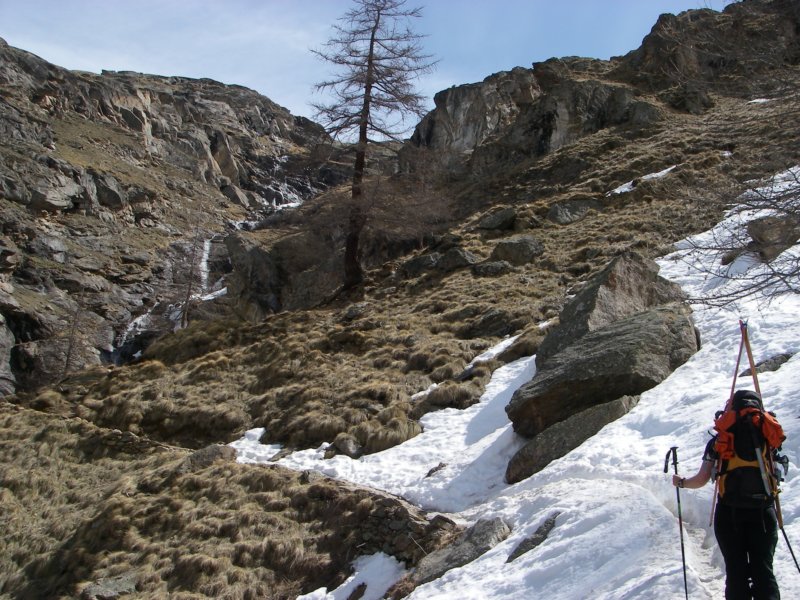 imgp2596.jpg