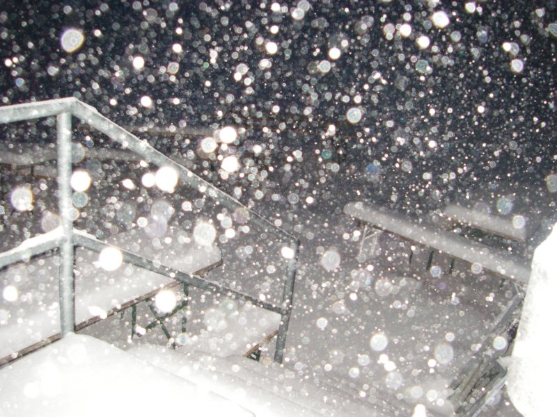 morgensumhalb6woistdasalsgutangesagtewetter.jpg